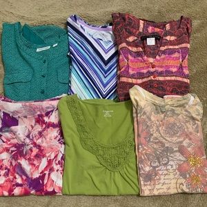 Lot of 6 Petite Tops Pullovers PM PS St. John's Bay Westbound Fred David